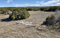 00 Rocky Creek Ranch Rd., Lampasas, TX 76550