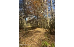 Mckenzie Road, Tylertown, MS 39667