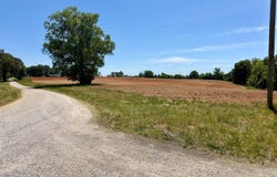Dairy Lane, Sutherlin, VA 24594