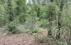 196TH TER, OBrien, FL 32071