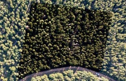 Zipf Ln lot: 3231, Fort Garland, CO 81133