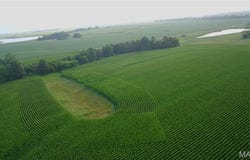 10 Route WW and Monroe Rd 594, Shelbina, MO 63468