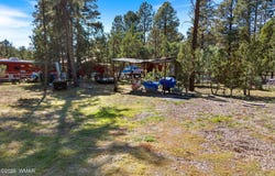 2936 Mogollon Drive, Overgaard, AZ 85933