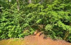 4527 Gates Chapel Road, Ellijay, GA 30540