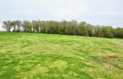 157 Mint Springs Road, New Market, AL 35761