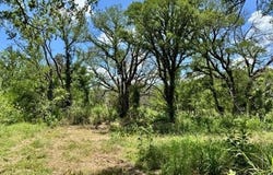 2031 County Road 3310, Valley Mills, TX 76689