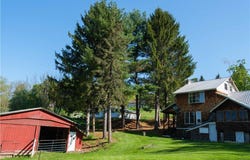 1181 County Highway 44, Sidney, NY 13775
