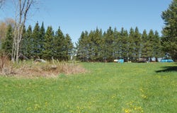 Off CTH N, Glidden, WI 54527