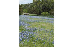 Lot K9010 Ponderosa Bend, Horseshoe Bay, TX 78657