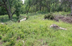 512 Lydia Lane, Granbury, TX 76049