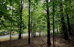 00 Sugar Bush Road, Kewadin, MI 49648