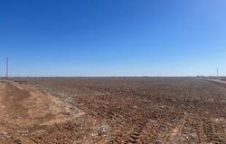 1 FM 2192, Wilson, TX 79381