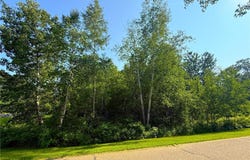 000 Maplewood Drive, East Gull Lake, MN 56401