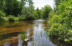 lot 4 Meadow Lane, Thompsonville, MI 49683