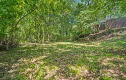 2012 N 7th Avenue, Ozark, MO 65721