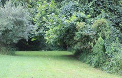 275 Sand Ridge Drive, Hazard, KY 41701