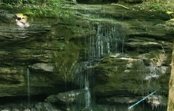 1250 Yellow Flats, Spencer, TN 38585