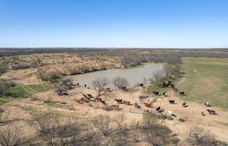 Cr 300, Coleman, TX 76834