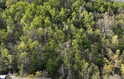 County road 123, Union Twp, OH 45619