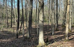 150 Cafferty Road, Colesville, NY 13760