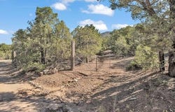 Upper Pinabete Road lot: 83, Questa, NM 87556