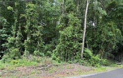Ashborough Drive lot: 65, Cottondale, AL 35453