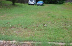 TBD Dolph Street, Nacogdoches, TX 75964