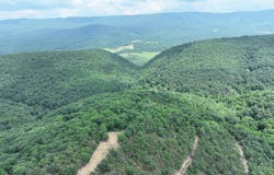 127.40 AC SECTOR ROAD, PURGITSVILLE, WV 26852