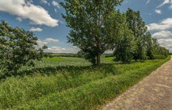 Lot 6 11.5 Acres Hefty Road, Monticello, WI 53570