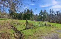 Bone Rd, Stevenson, WA 98648