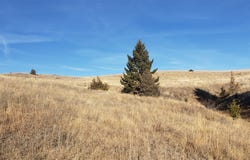 180 Lariat Loop, Garrison, MT 59731