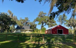 8410 NE 155TH Avenue, WILLISTON, FL 32696
