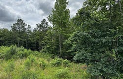 TBD Dream Lane, Wickes, AR 71973