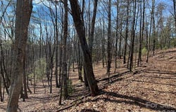 Taylorsville Road unit: Tract 2, Taylorsville, NC 28681