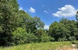 5.49 Acres on Meadow Creek DR, Harrison, AR 72601