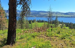 TBD INCHELIUM HWY, KETTLE FALLS, WA 99141