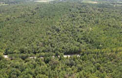 Co Rd 26, Detroit, AL 35552