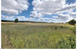 0000 HONOR HIGHWAY, INTERLOCHEN, MI 49643