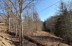7041 KY Route 1092, Flat Gap, KY 41219