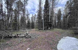 766 Crest Drive, Cimarron, CO 81220