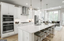 9801 BLUE IVY WAY, ELLICOTT CITY, MD 21042