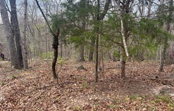 Cunningham Lane lot: 3, Bella Vista, AR 72715