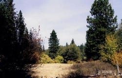 3250 Wildwood Rd, Wildwood, CA 96076