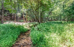 Lot 14 Rocking Chair Ridge, Mineral Bluff, GA 30559