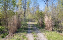 Bath Road, Perry, MI 48872