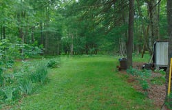 497 Vailtown Rd, Liberty, PA 16930