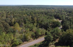 Jeffries Road lot: 8, Potts Camp, MS 38659