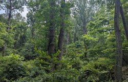 6.1 and 1.57 Acres CHESTNUT HILL ROAD, HARPERS FERRY, WV 25425