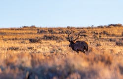 TBD, Shell, WY 82441