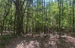 Havens Road, GRENADA, MS 38901
